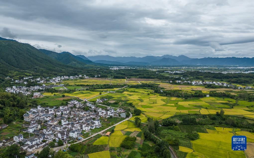 万乐城登录
